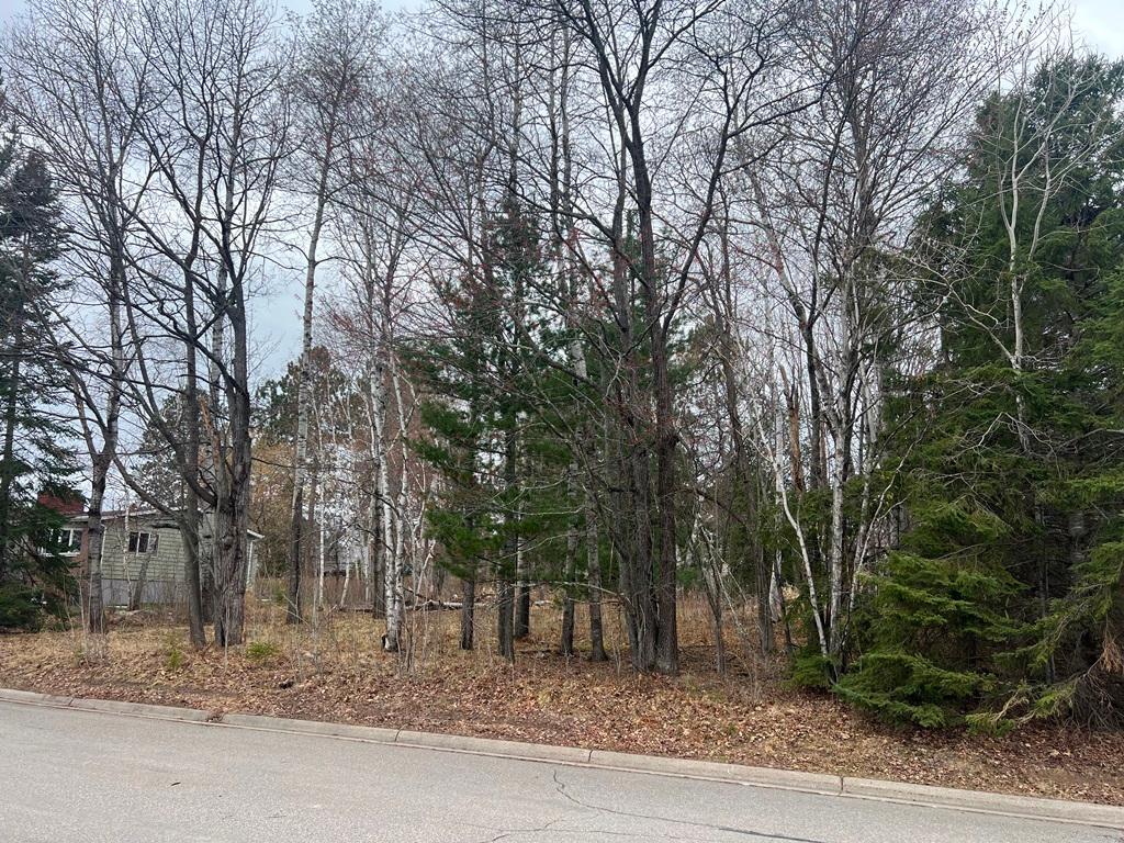TBD 3rd Avenue SW Grand Rapids MN 55744 7068712 image6