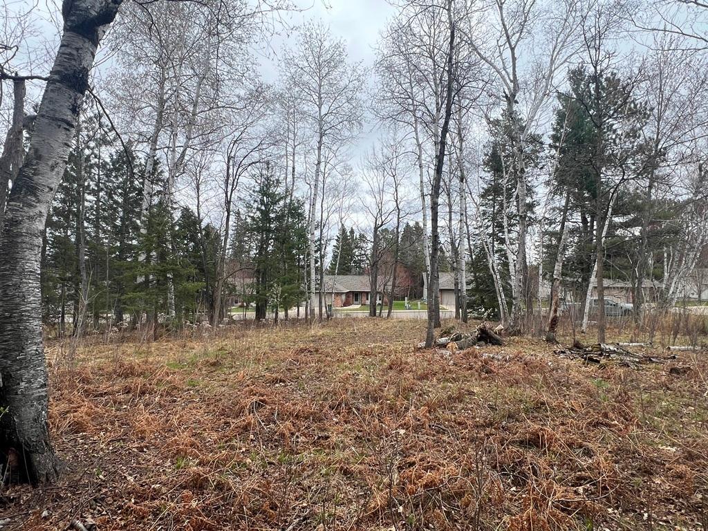 TBD 3rd Avenue SW Grand Rapids MN 55744 7068712 image7