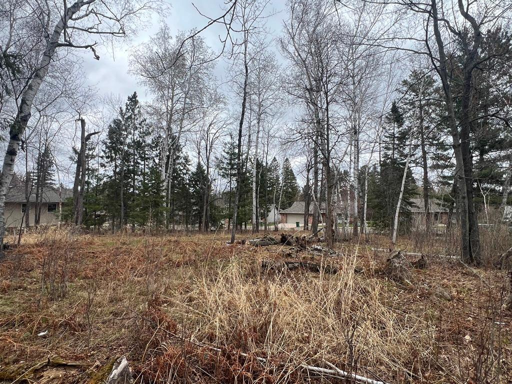 TBD 3rd Avenue SW Grand Rapids MN 55744 7068712 image8