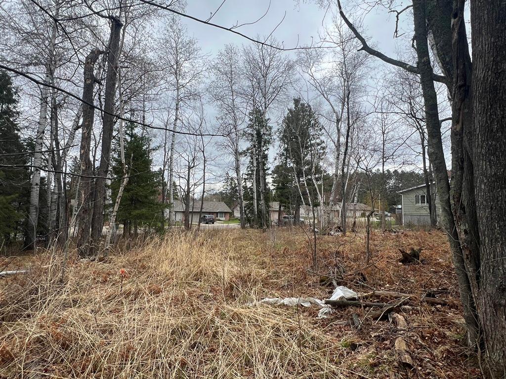 TBD 3rd Avenue SW Grand Rapids MN 55744 7068712 image9