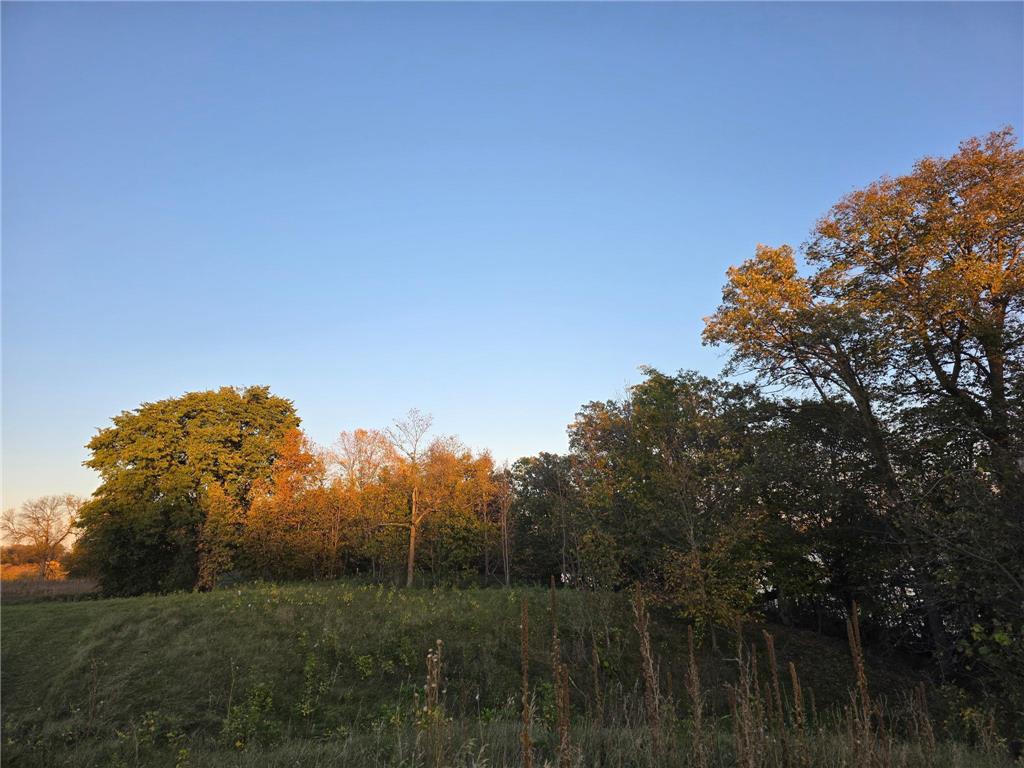 TBD 4/5 Lots 317th St Underwood MN 56586 - Maine 7025971 image35