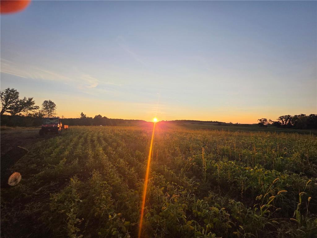 TBD 4/5 Lots 317th St Underwood MN 56586 - Maine 7025971 image45