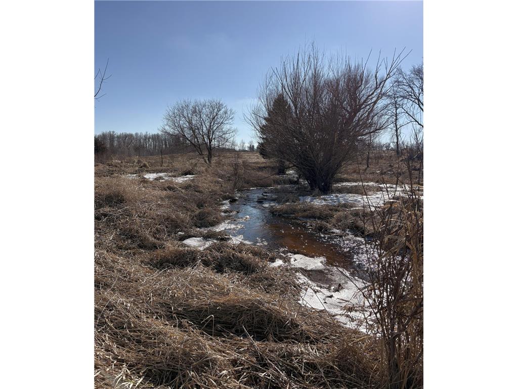 TBD 4.64 AC 160th Avenue Foreston MN 56330 7035465 image2