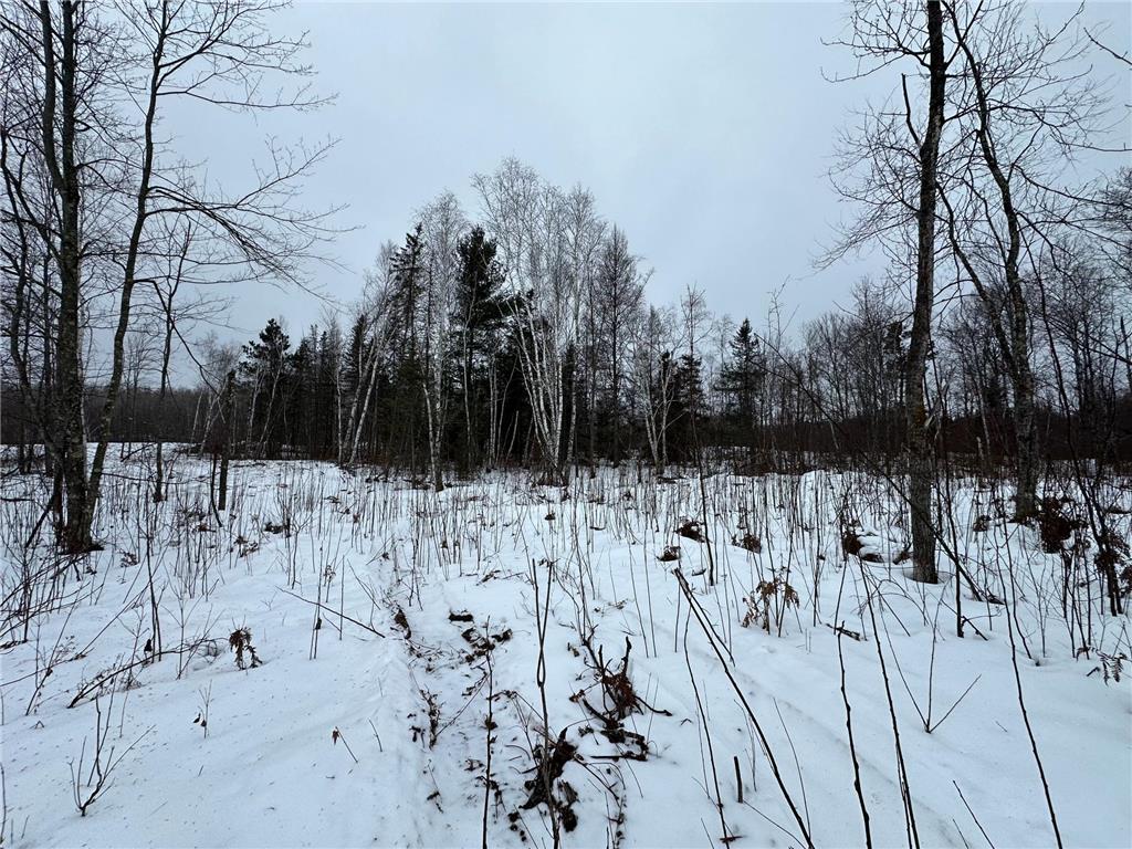 TBD #4 Koecher Road Kerrick MN 55756 7002700 image3