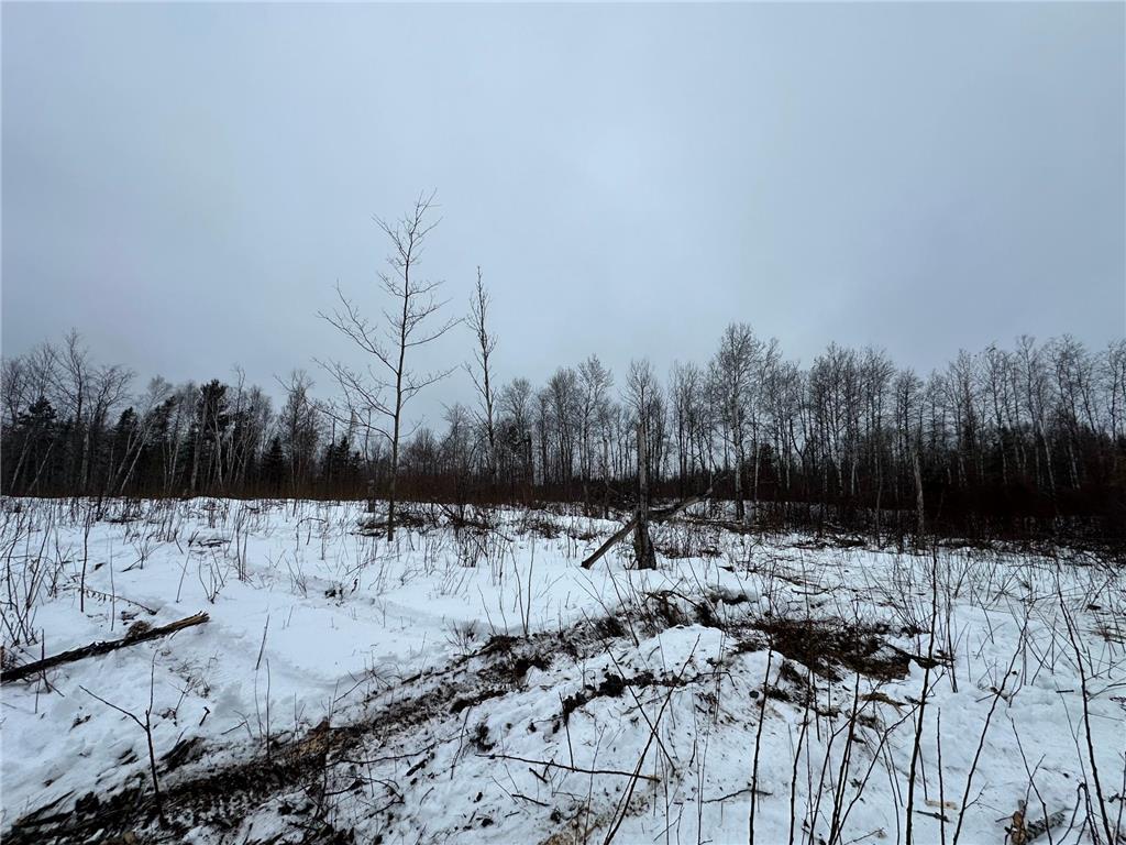 TBD #4 Koecher Road Kerrick MN 55756 7002700 image4