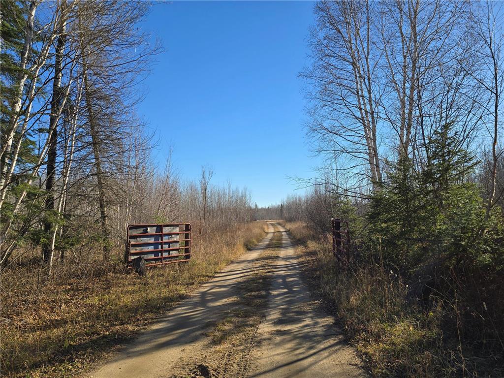 TBD 40 Acres County Rd 119 International Falls MN 56649 6631864 image1