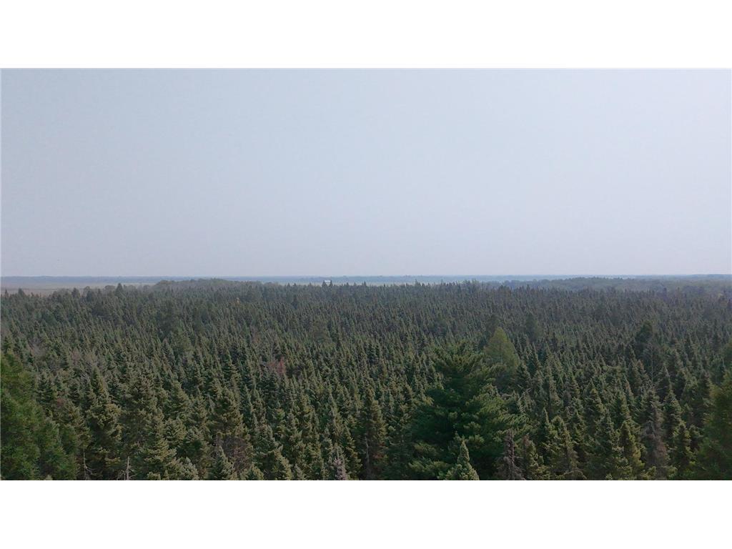 TBD 40 Acres Sunflower Woodrow Twp MN 56650 7046890 image10