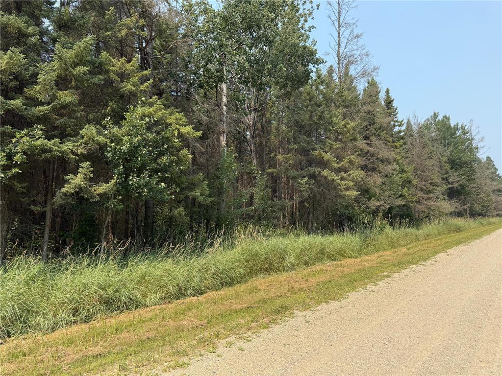 TBD 40 Acres Sunflower Woodrow Twp MN 56650 7046890 image2