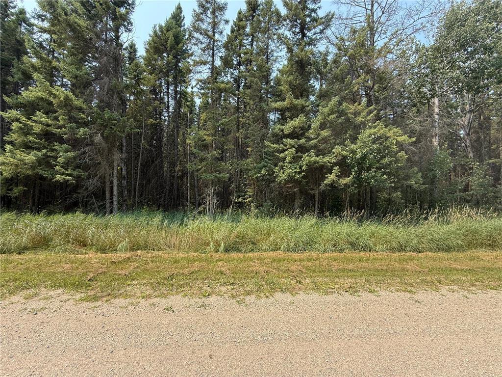 TBD 40 Acres Sunflower Woodrow Twp MN 56650 7046890 image3