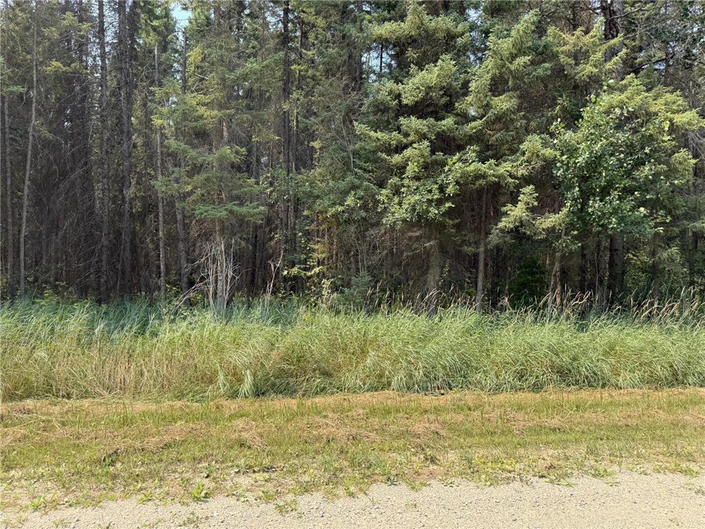 TBD 40 Acres Sunflower Woodrow Twp MN 56650 7046890 image4