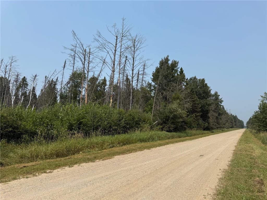 TBD 40 Acres Sunflower Woodrow Twp MN 56650 7046890 image5