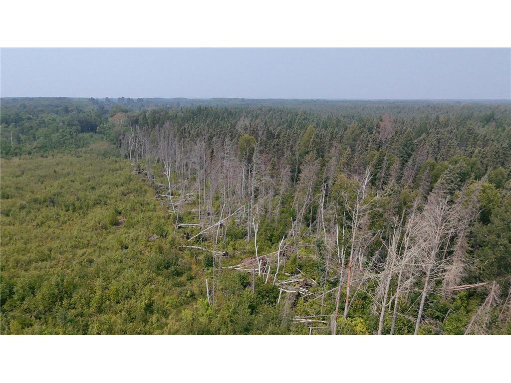 TBD 40 Acres Sunflower Woodrow Twp MN 56650 7046890 image6