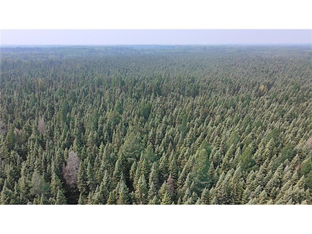 TBD 40 Acres Sunflower Woodrow Twp MN 56650 7046890 image7