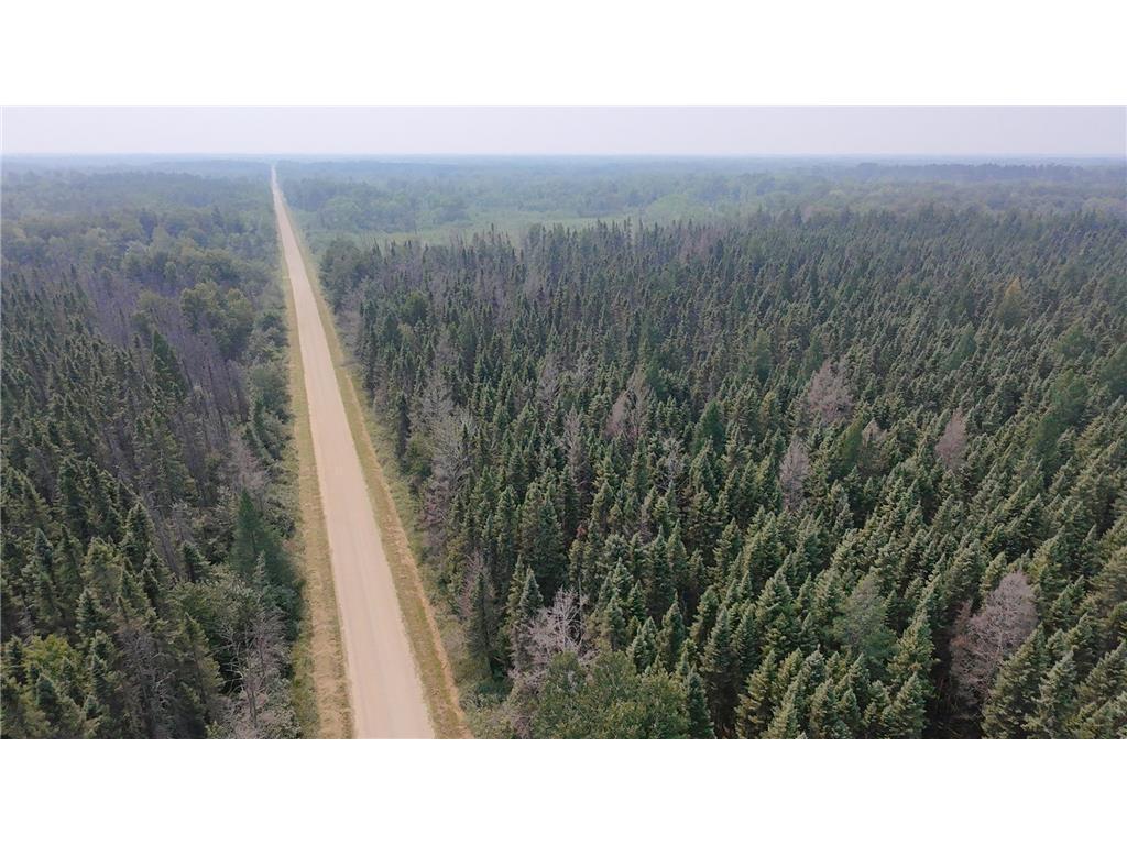 TBD 40 Acres Sunflower Woodrow Twp MN 56650 7046890 image8