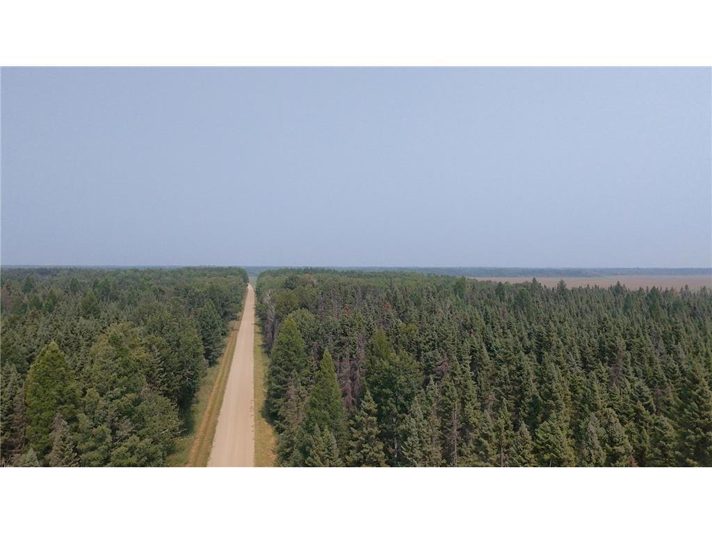 TBD 40 Acres Sunflower Woodrow Twp MN 56650 7046890 image9