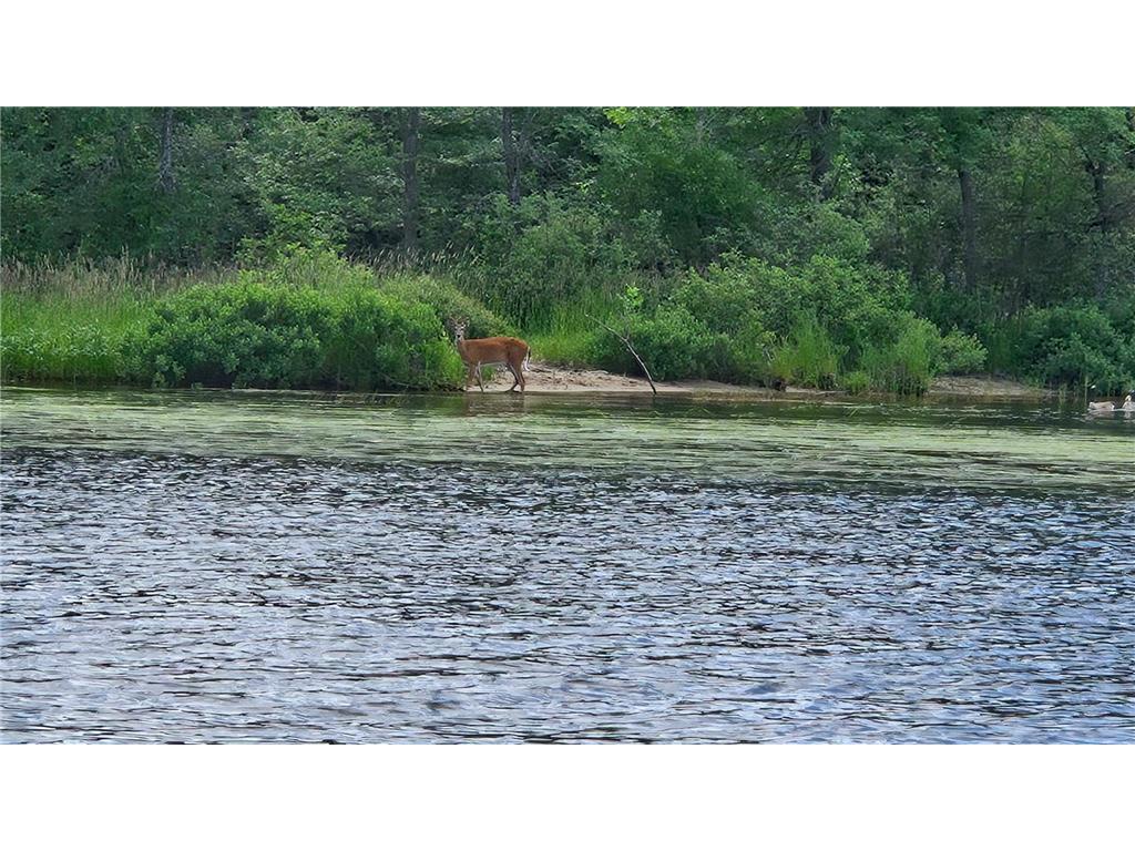TBD 40 Crane Lake Crane Lake MN 55725 - Crane 6745692 image14