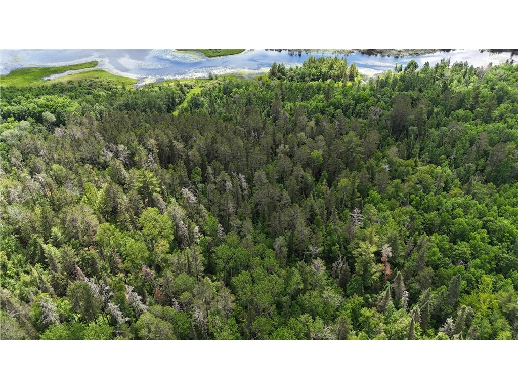 TBD 40 Crane Lake Crane Lake MN 55725 - Crane 6745692 image18