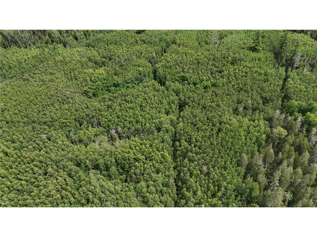 TBD 40 N Rollick Creek Crane Lake MN 55725 - Crane 6754964 image11