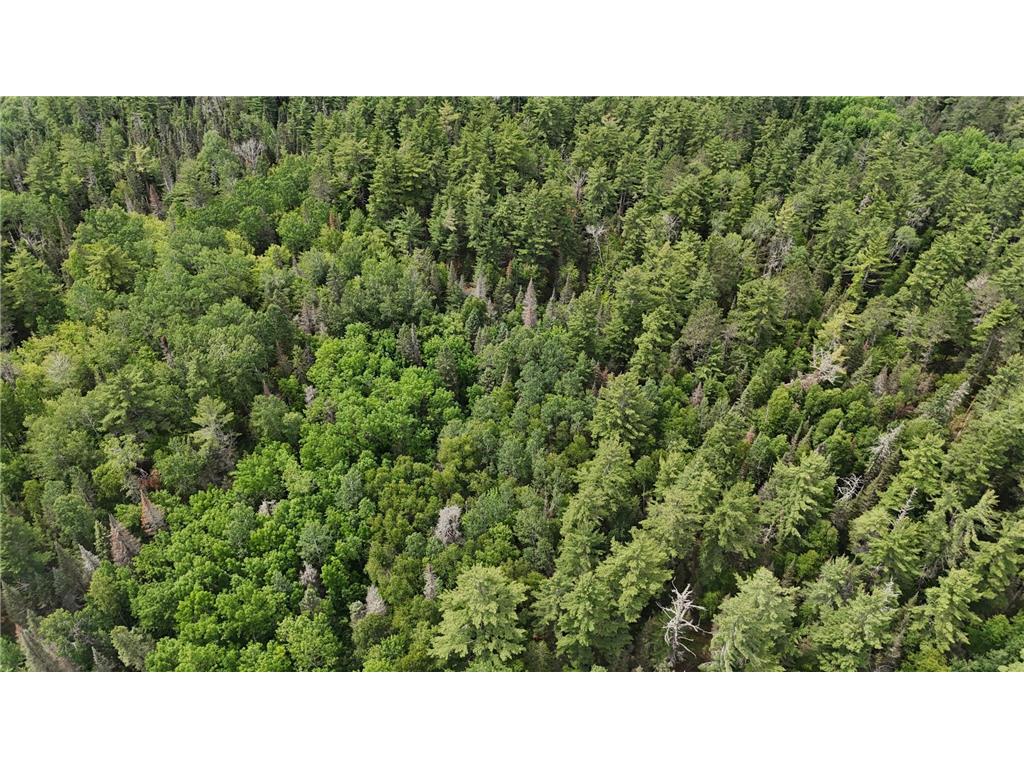 TBD 40 N Rollick Creek Crane Lake MN 55725 - Crane 6754964 image14