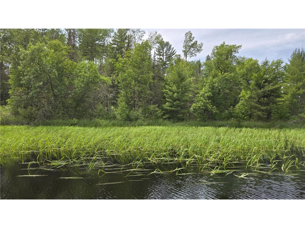 TBD 40 N Rollick Creek Crane Lake MN 55725 - Crane 6754964 image4