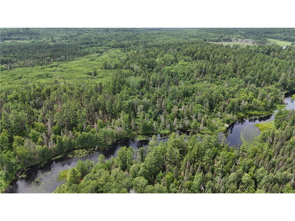 TBD 40 N Rollick Creek Crane Lake MN 55725 - Crane 6754964 image5
