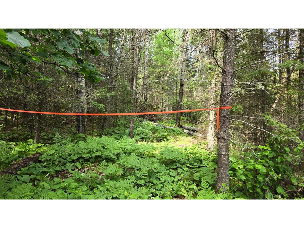 TBD 40 N Rollick Creek Crane Lake MN 55725 - Crane 6754964 image9