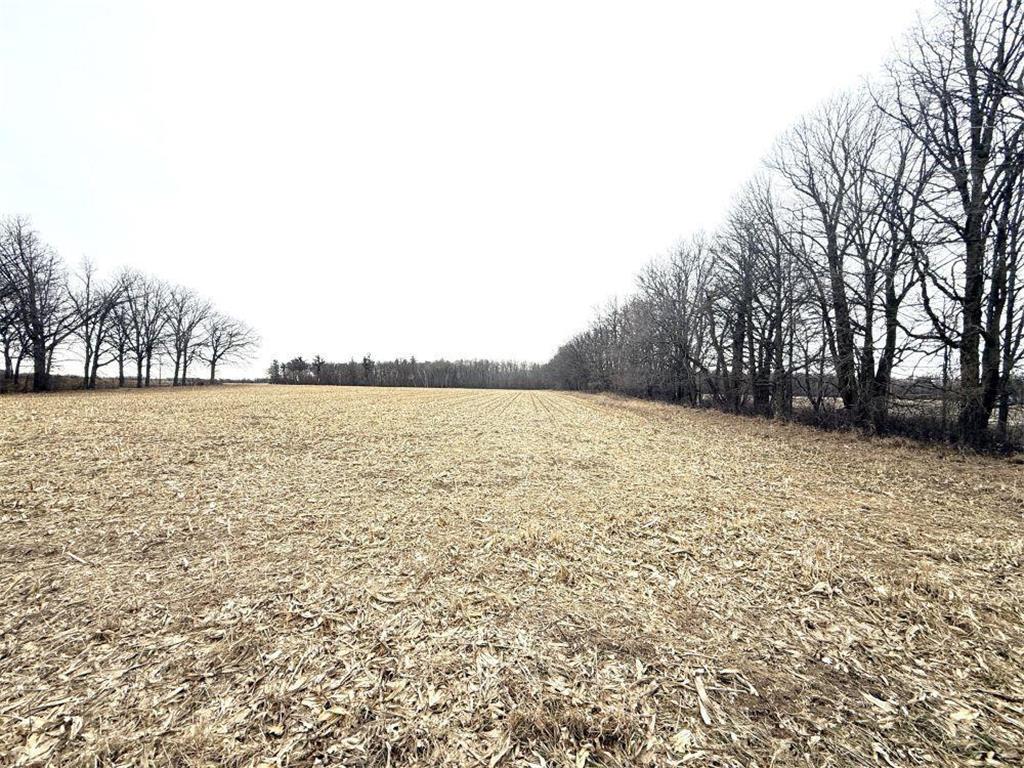TBD 400th St New York Mills MN 56567 7058764 image23