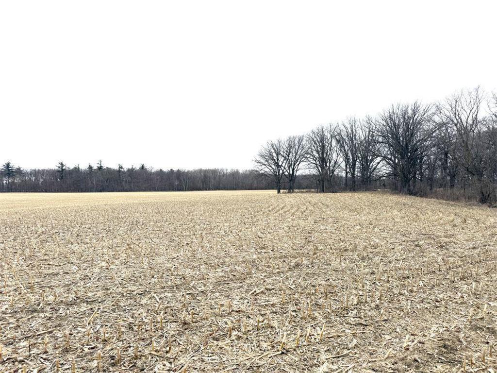 TBD 400th St New York Mills MN 56567 7058764 image24