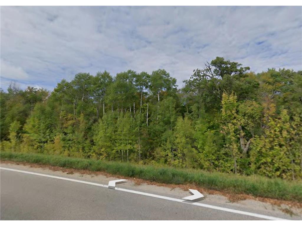 TBD 400th Street Oakland Twp MN 56589 - Pine Lake 7104958 image8