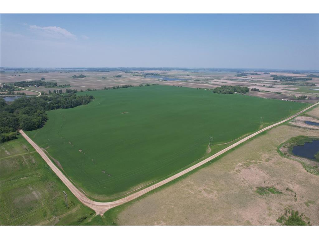 TBD 400th Street Pelican Twp MN 56572 6778389 image1