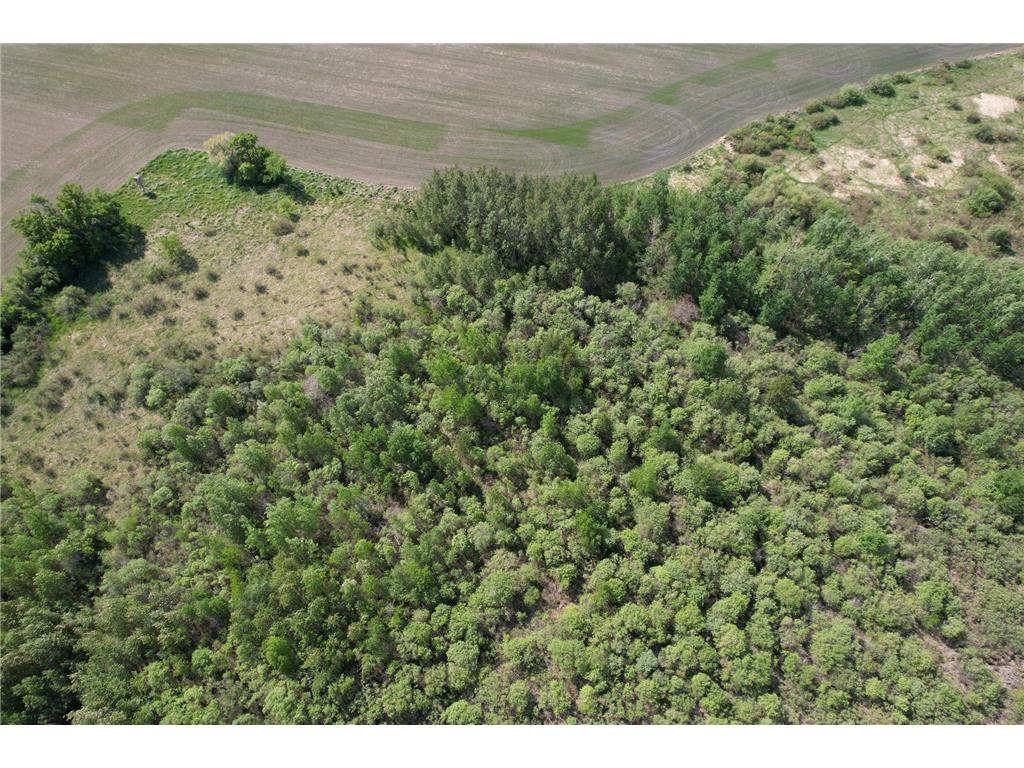 TBD 400th Street Twin Valley MN 56584 7082826 image16
