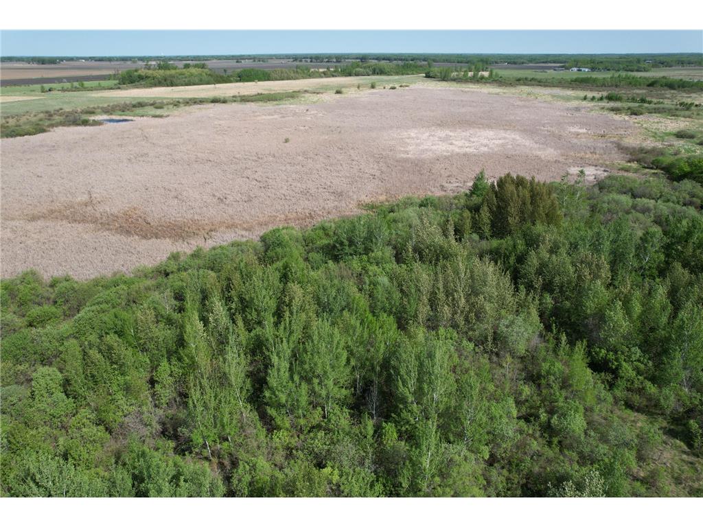 TBD 400th Street Twin Valley MN 56584 7082826 image18
