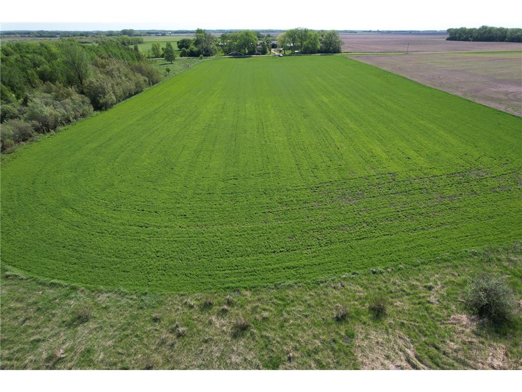 TBD 400th Street Twin Valley MN 56584 7082826 image22