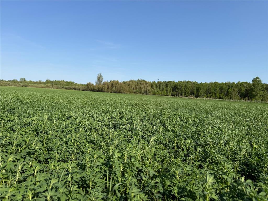 TBD 400th Street Twin Valley MN 56584 7082826 image25