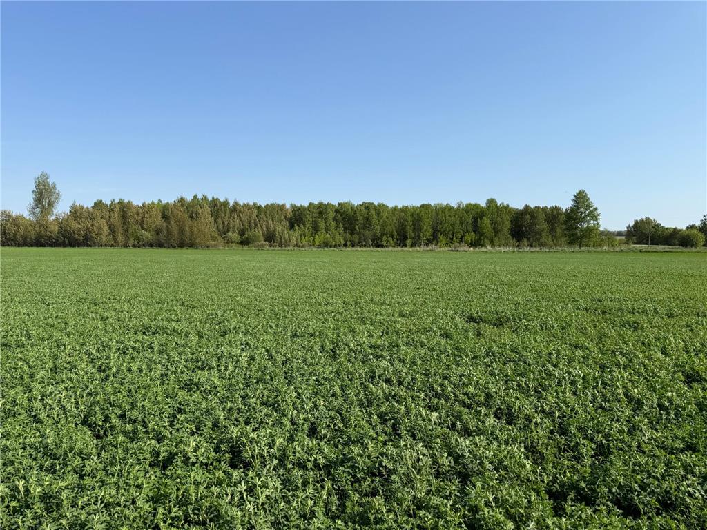 TBD 400th Street Twin Valley MN 56584 7082826 image26