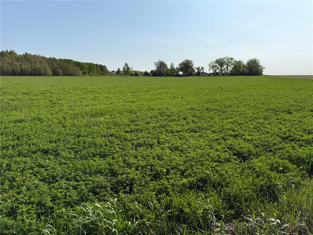 TBD 400th Street Twin Valley MN 56584 7082826 image27