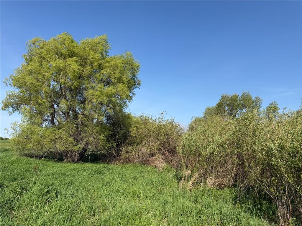 TBD 400th Street Twin Valley MN 56584 7082826 image28