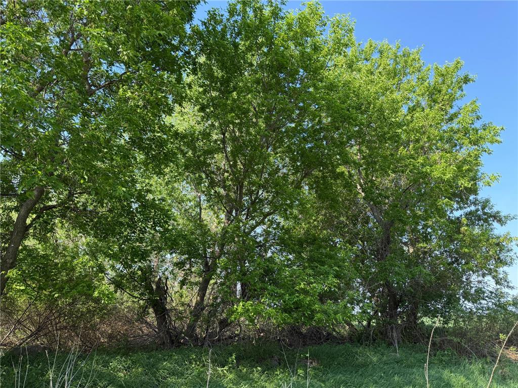 TBD 400th Street Twin Valley MN 56584 7082826 image30