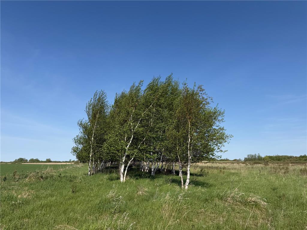 TBD 400th Street Twin Valley MN 56584 7082826 image33