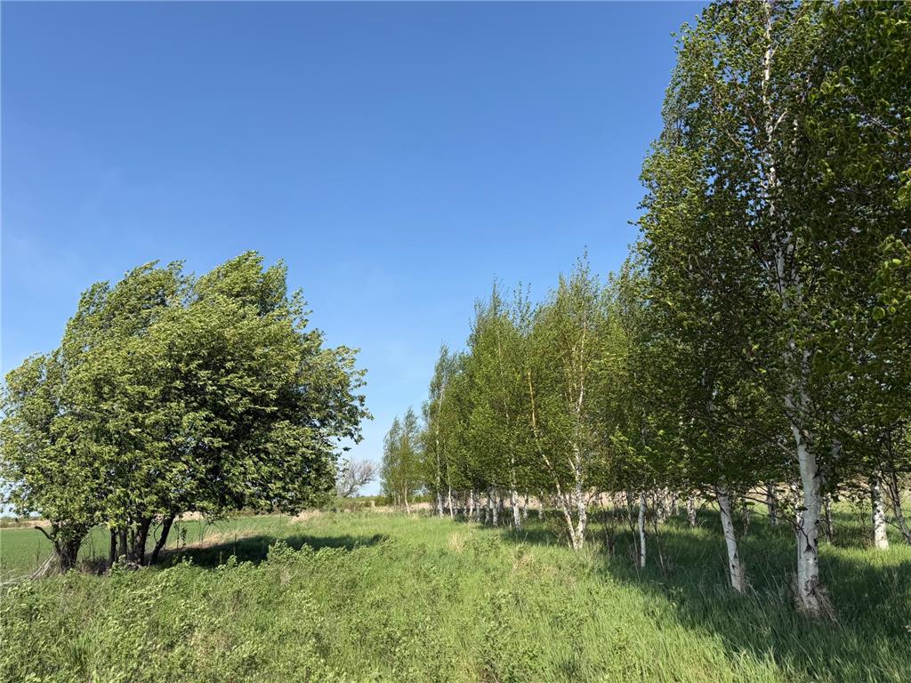TBD 400th Street Twin Valley MN 56584 7082826 image35