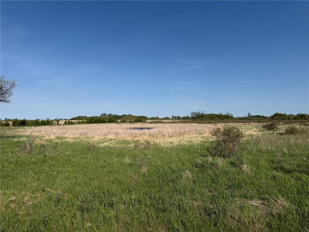 TBD 400th Street Twin Valley MN 56584 7082826 image36