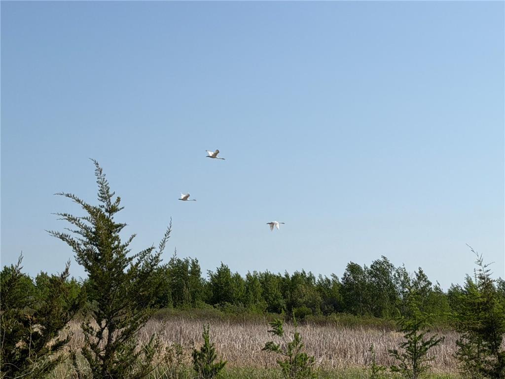TBD 400th Street Twin Valley MN 56584 7082826 image40