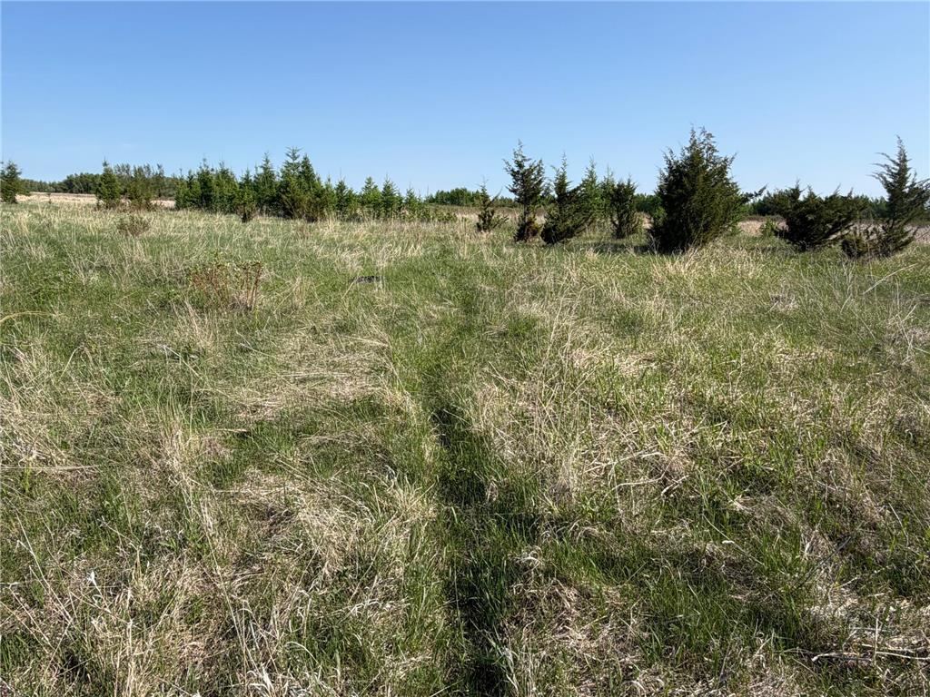 TBD 400th Street Twin Valley MN 56584 7082826 image41