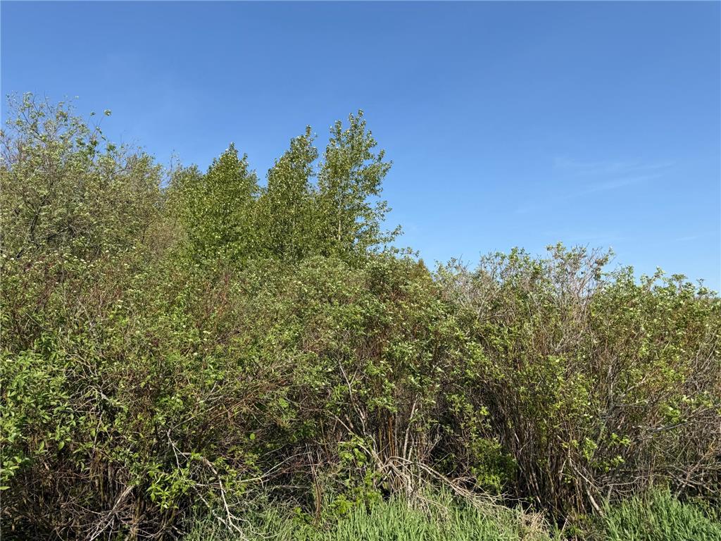 TBD 400th Street Twin Valley MN 56584 7082826 image46
