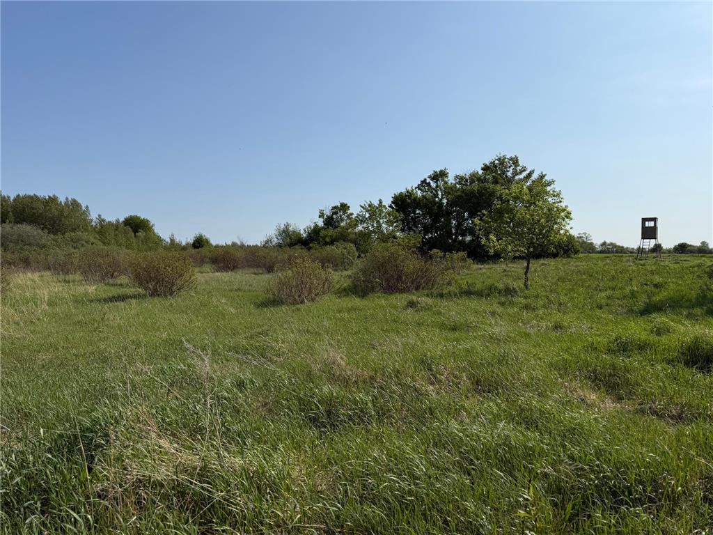 TBD 400th Street Twin Valley MN 56584 7082826 image49