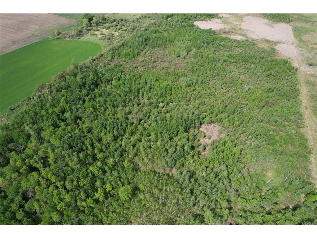 TBD 400th Street Twin Valley MN 56584 7082826 image5