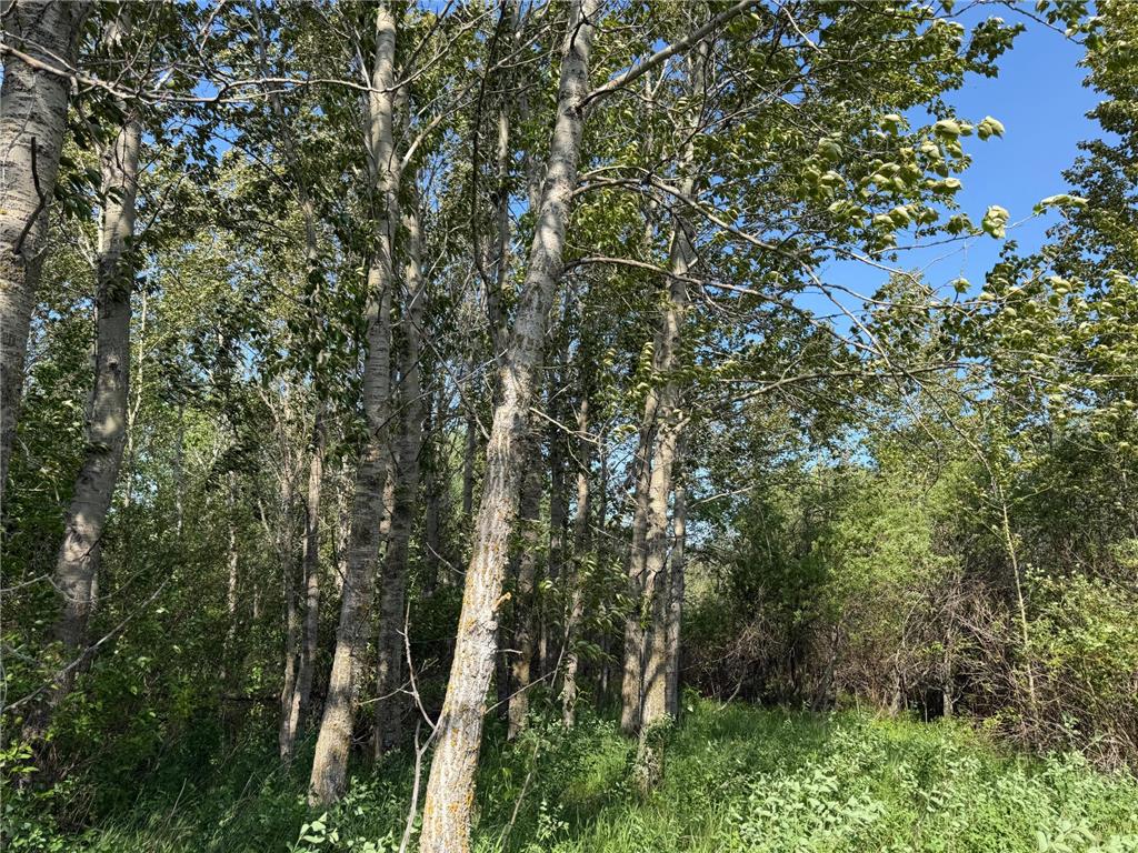TBD 400th Street Twin Valley MN 56584 7082826 image50