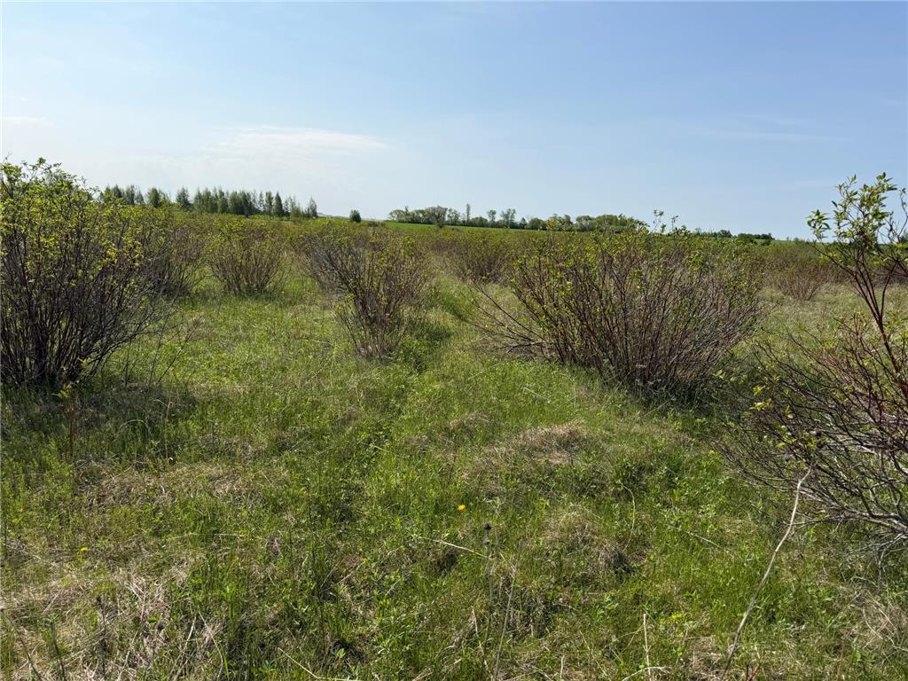 TBD 400th Street Twin Valley MN 56584 7082826 image55