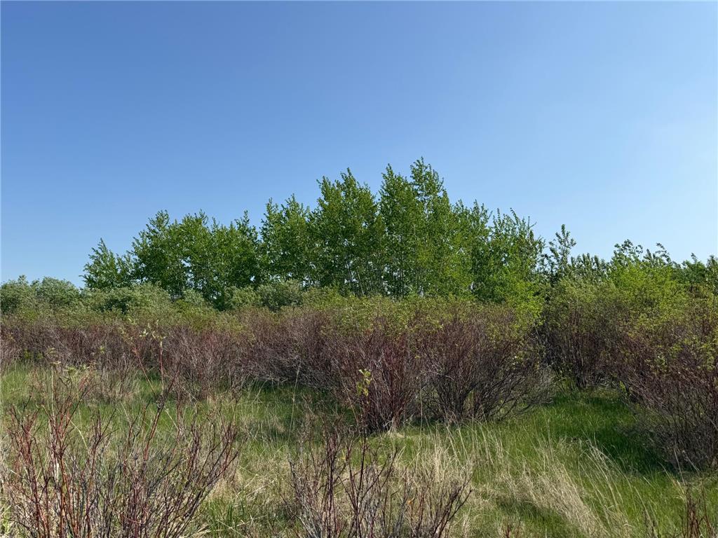 TBD 400th Street Twin Valley MN 56584 7082826 image56