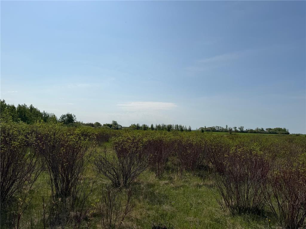 TBD 400th Street Twin Valley MN 56584 7082826 image57